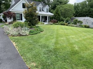 IMG_3376