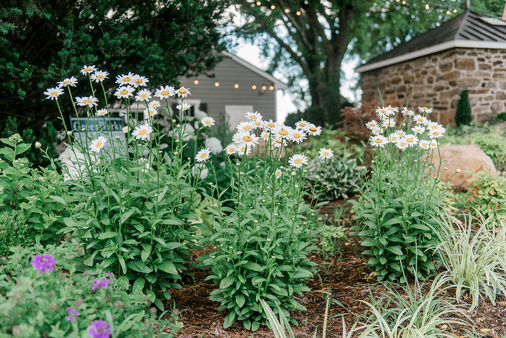 Landscape Maintenance Services