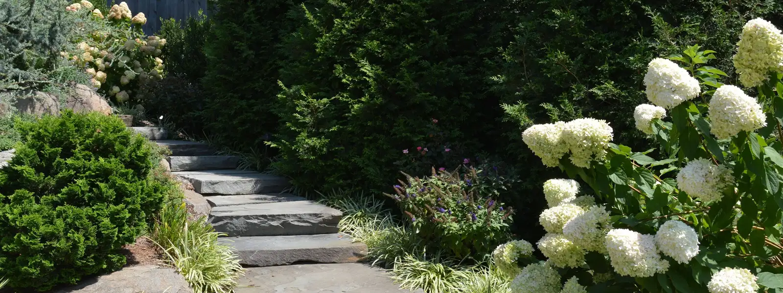 GreenWorks Landscaping
