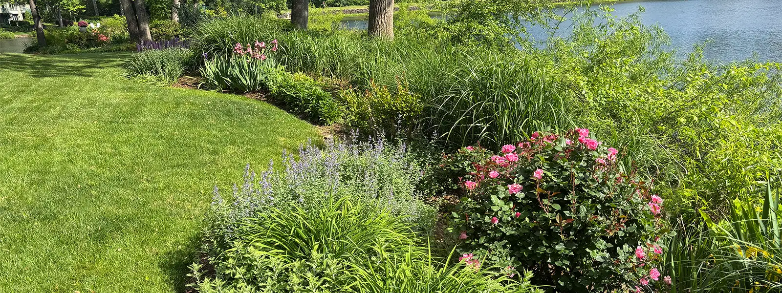 Landscape Design and Garden Installation